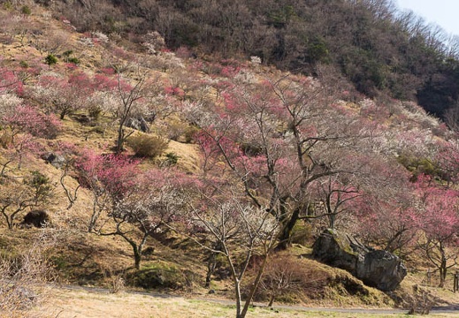201403060913-DSC07697.jpg