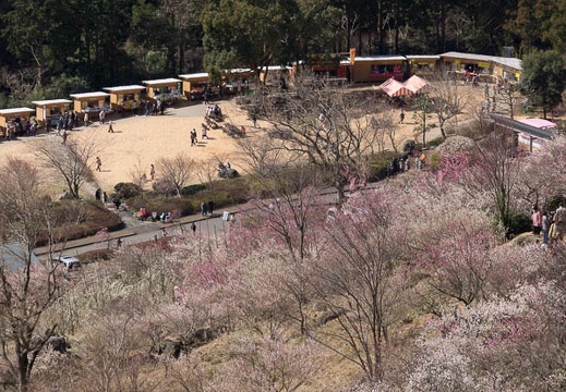 201403061039-DSC07777.jpg