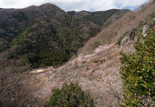 201403061043-DSC09410N.jpg
