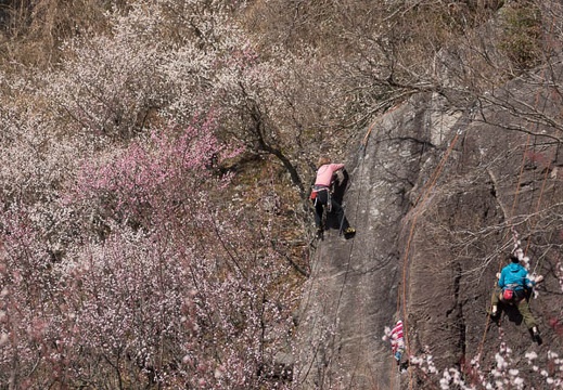 201403061054-DSC07808.jpg