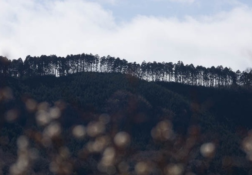 201403061102-DSC07818.jpg