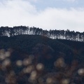 201403061102-DSC07818.jpg