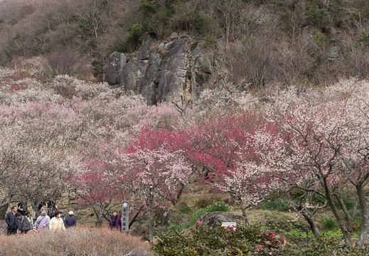 201403061134-DSC07856.jpg