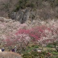 201403061134-DSC07856.jpg