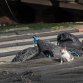 201403061335-DSC08019.jpg
