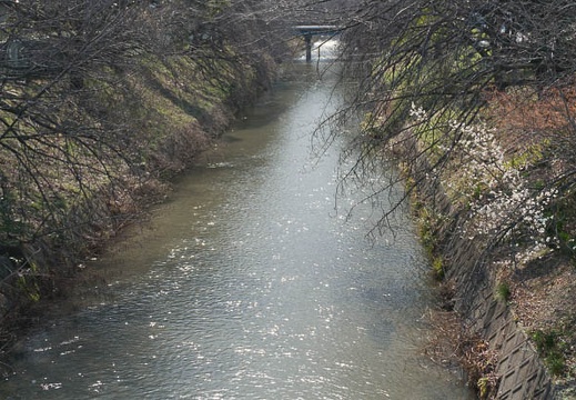 201403071348-DSC09605N.jpg