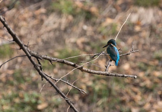 201403071414-DSC08298.jpg