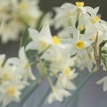 201403071447-DSC08313.jpg