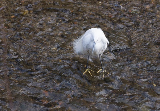 201403071453-DSC08325.jpg