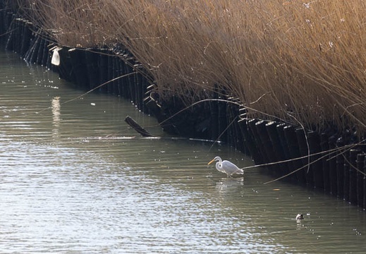 201403071515-DSC08371.jpg
