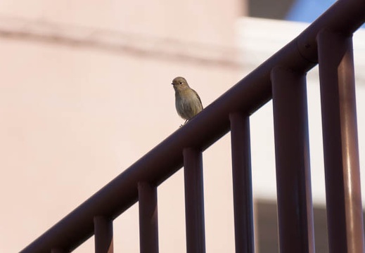 201403071534-DSC08396.jpg