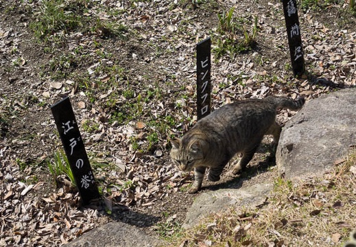201403081259-DSC01824R.jpg
