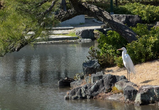 201403081307-DSC01842R.jpg