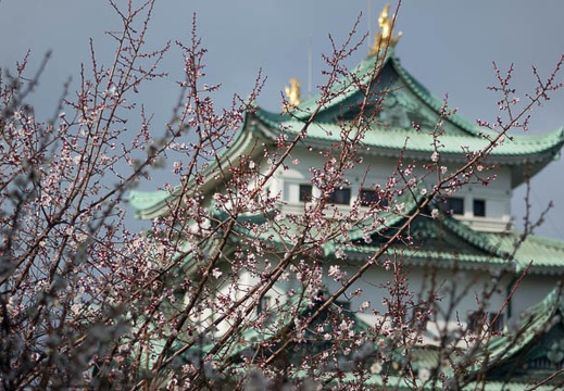 201403081534-DSC02027R.jpg