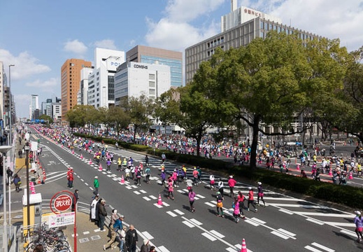 201403091210-DSC02307R.jpg
