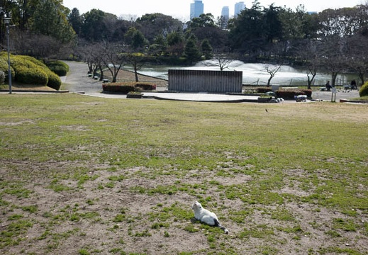 201403091355-DSC02442R.jpg