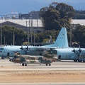 201403101013-DSC08475.jpg