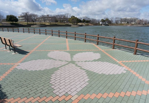 201403101255-DSC09681N.jpg