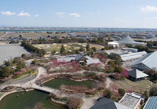 201403111154-DSC09850N.jpg
