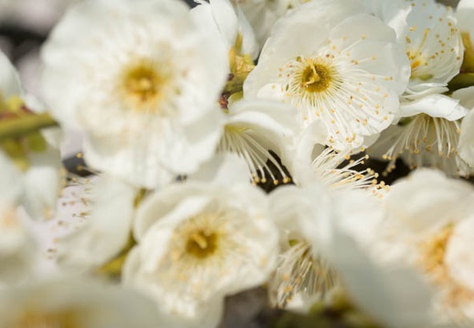 201403121054-DSC00054N.jpg