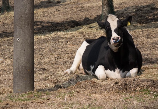 201403121202-DSC02882R.jpg