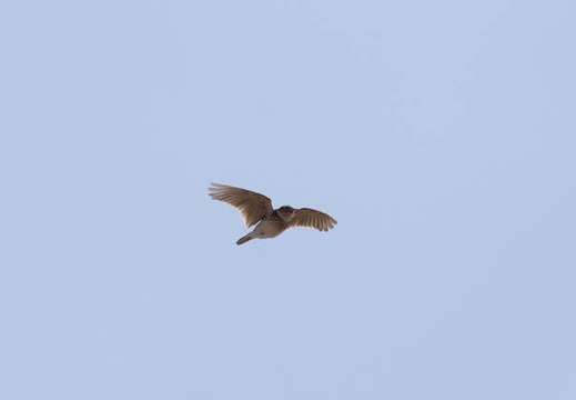 201403141112-DSC09140.jpg