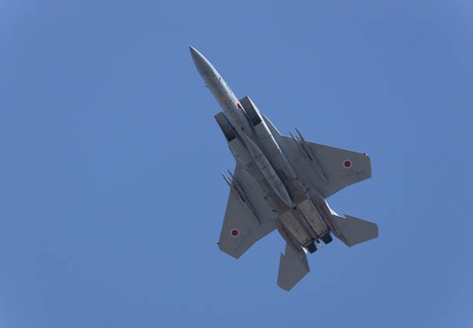 201403141344-DSC09310.jpg