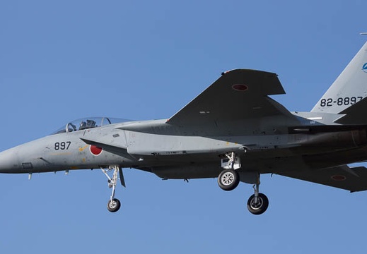 201403141556-DSC09493.jpg