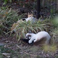 201403141748-DSC09745.jpg