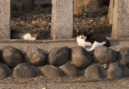 201403171612-DSC00112.jpg