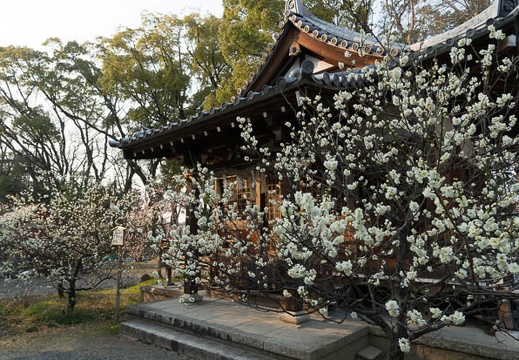201403171620-DSC00344N.jpg