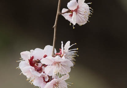 201403171629-DSC00159.jpg