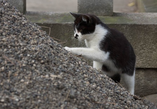 201403171631-DSC00164.jpg
