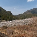 201403191205-DSC00420N.jpg