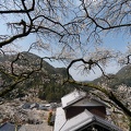 201403191225-DSC00455N.jpg