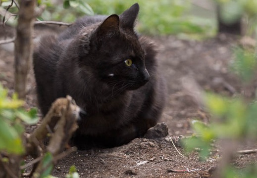 201403221040-DSC00713.jpg