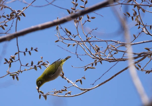 201403221053-DSC00725.jpg