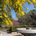 201403221200-DSC01112N.jpg