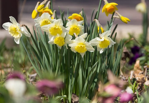 201403221203-DSC00788.jpg