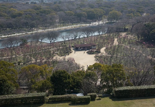 201403231010-DSC03338R.jpg