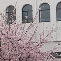 201403251433-DSC00911.jpg