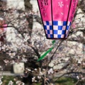 201403281500-DSC04765R.jpg