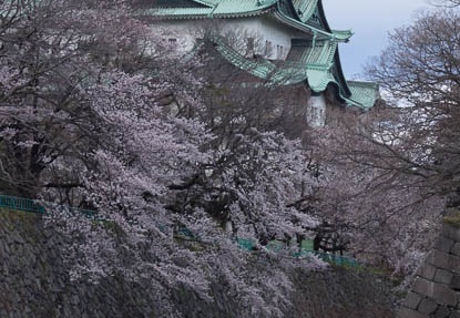 201403301504-DSC00940.jpg