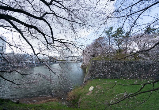 201403301515-DSC01572N.jpg
