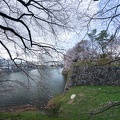 201403301515-DSC01572N.jpg