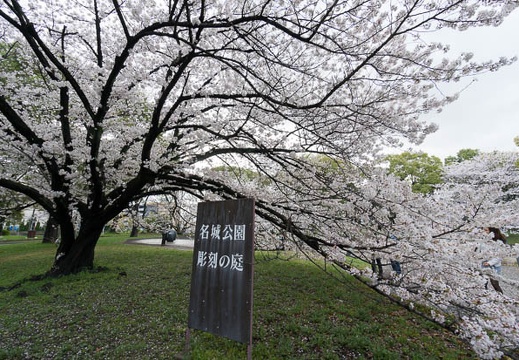 201403301519-DSC01584N.jpg