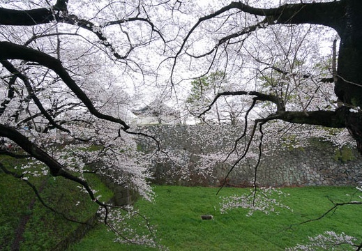 201403301532-DSC01637N.jpg