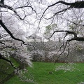 201403301532-DSC01637N.jpg