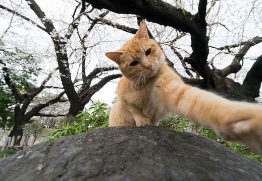 201403301545-DSC01675N.jpg