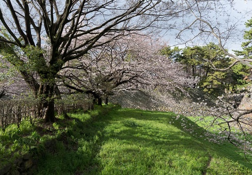 201403301558-DSC01698N.jpg